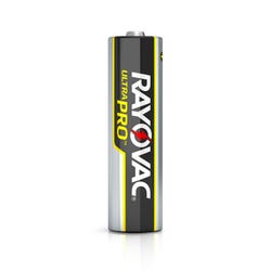 Delta Education AA Batteries, Item Number 020-8812