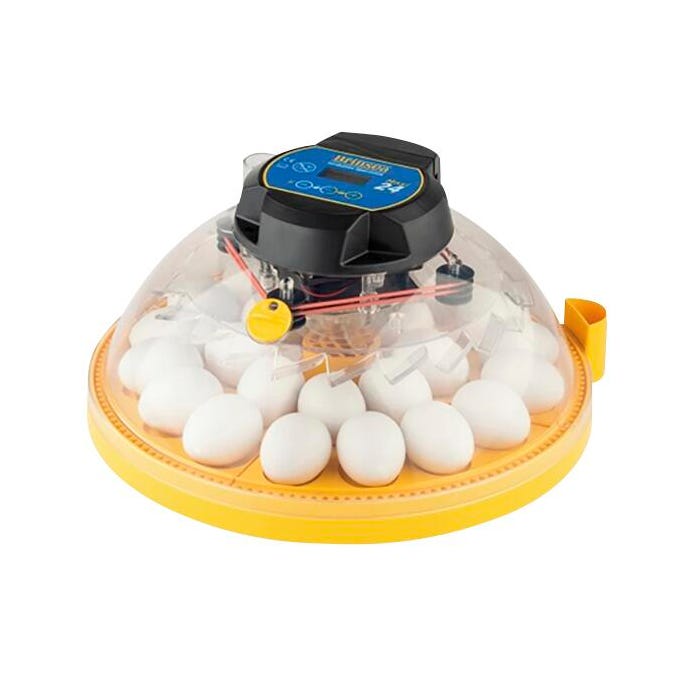 Brinsea Maxi 24 Advance Fully Digital 24 Egg Incubator