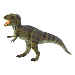 ANGLEIMAGES_FULLIMAGE