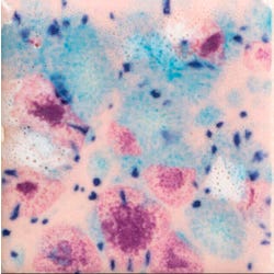 Mayco Jungle Gems Crystal Glaze, Pink Pixie Pint, Item Number 2090327