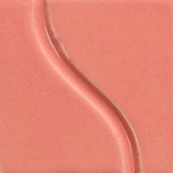 Sax Gloss Glaze, Coral Blossom, 1 Pint 2019243