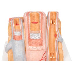 ANGLEIMAGES_FULLIMAGE