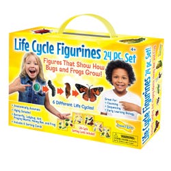 Life Cycle Science, Item Number 2021430