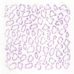 ANGLEIMAGES_FULLIMAGE