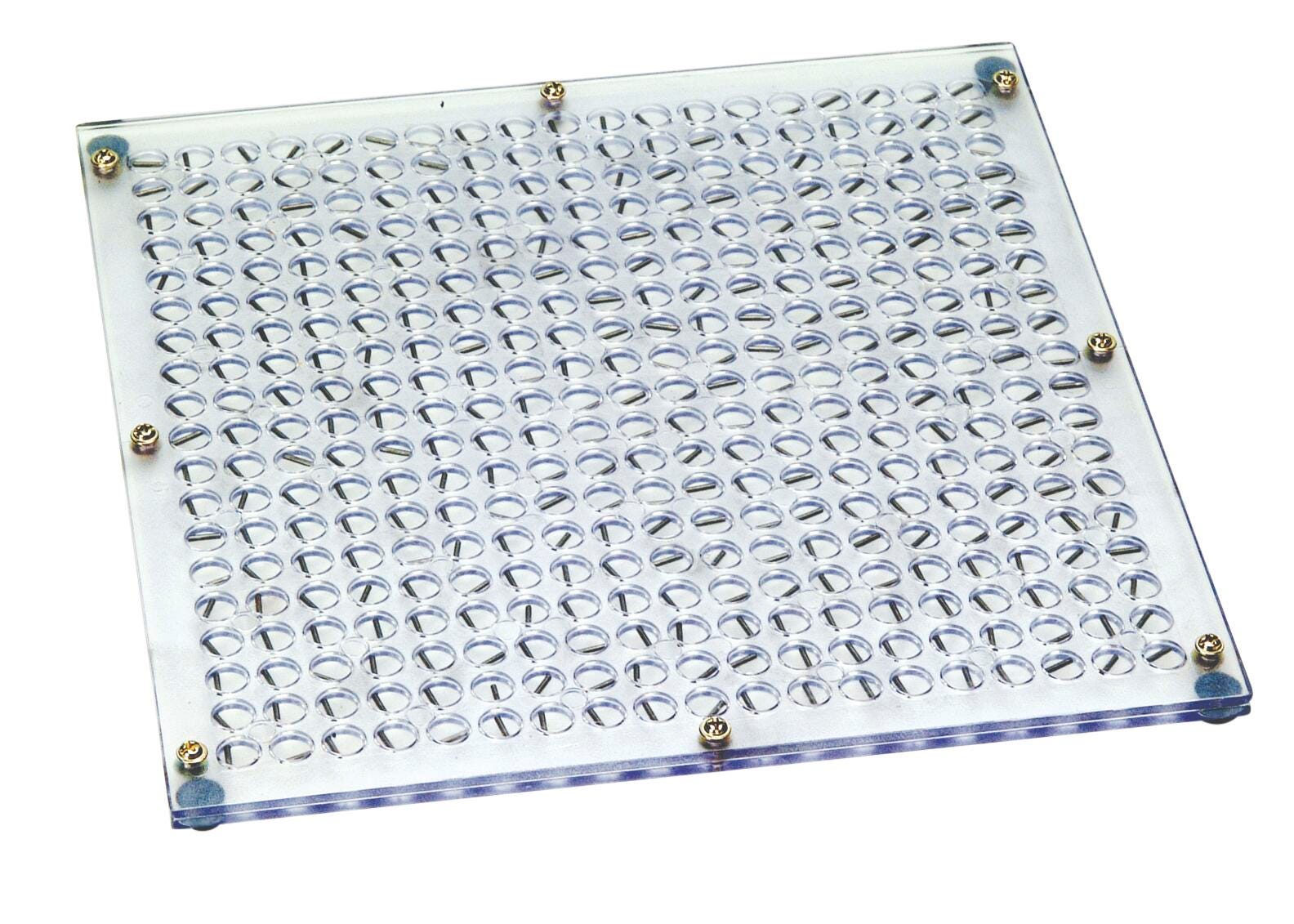 Image for EISCO Magnetic Field Demonstration Plate from School Specialty