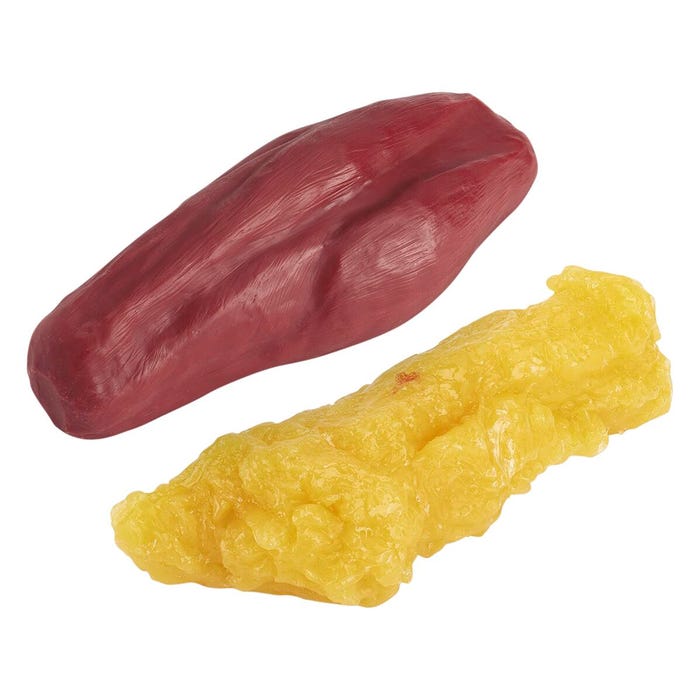 Nasco Healthcare Five Pound Fat and Five Pound Muscle Replicas