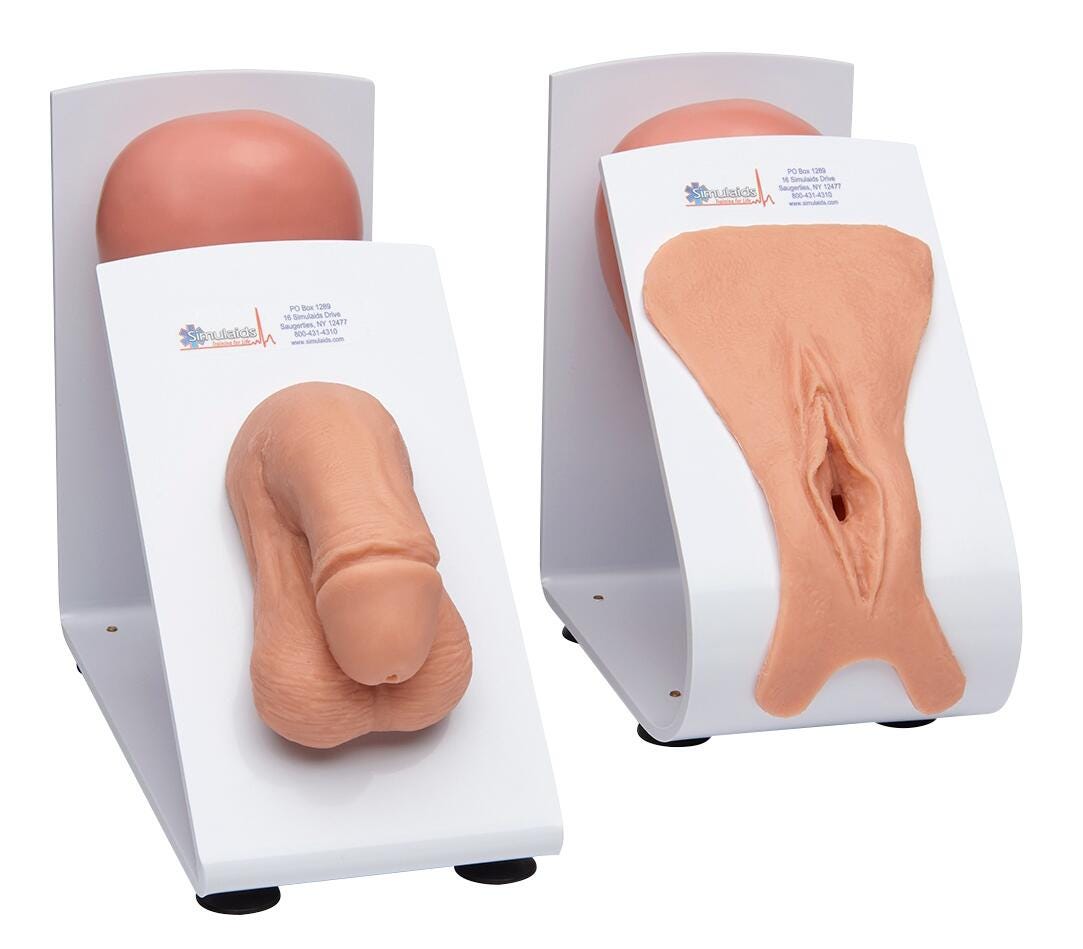 Male & Female Catheterization Trainers Models Set