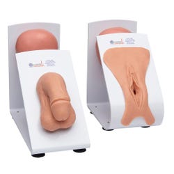 Male & Female Catheterization Trainers Models Set