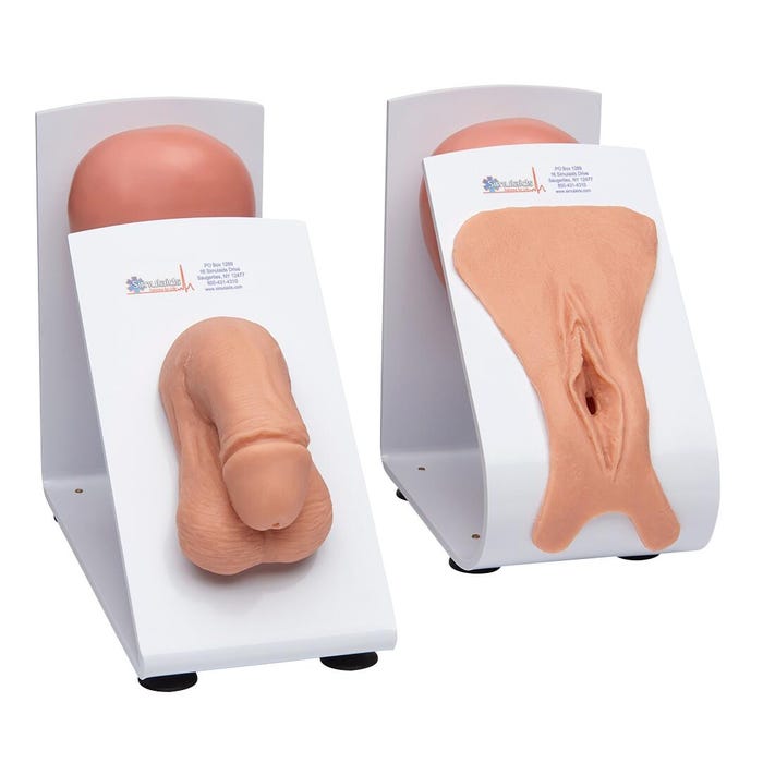Male & Female Catheterization Trainers Models Set
