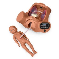 Gaumard Scientific Advanced OB Susie Birthing Torso, Medium