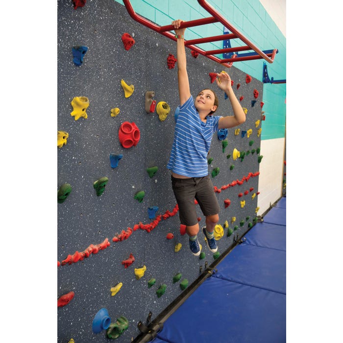 Everlast Safari Jungle Gym Monkey Bars, Complete Package, Red Mat