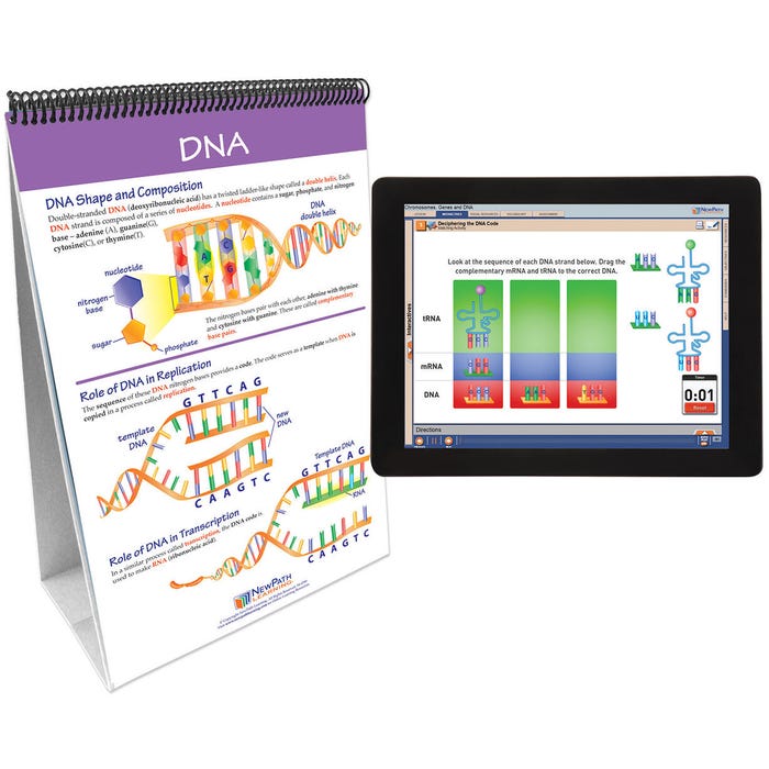 NewPath Learning Chromosomes, Genes and DNA Flip Chart & Online Multimedia Lesson, Grades 6 through 10