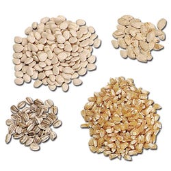 Frey Scientific Classroom Seed Assortment, Item Number 560828