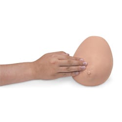 BSE Trainer