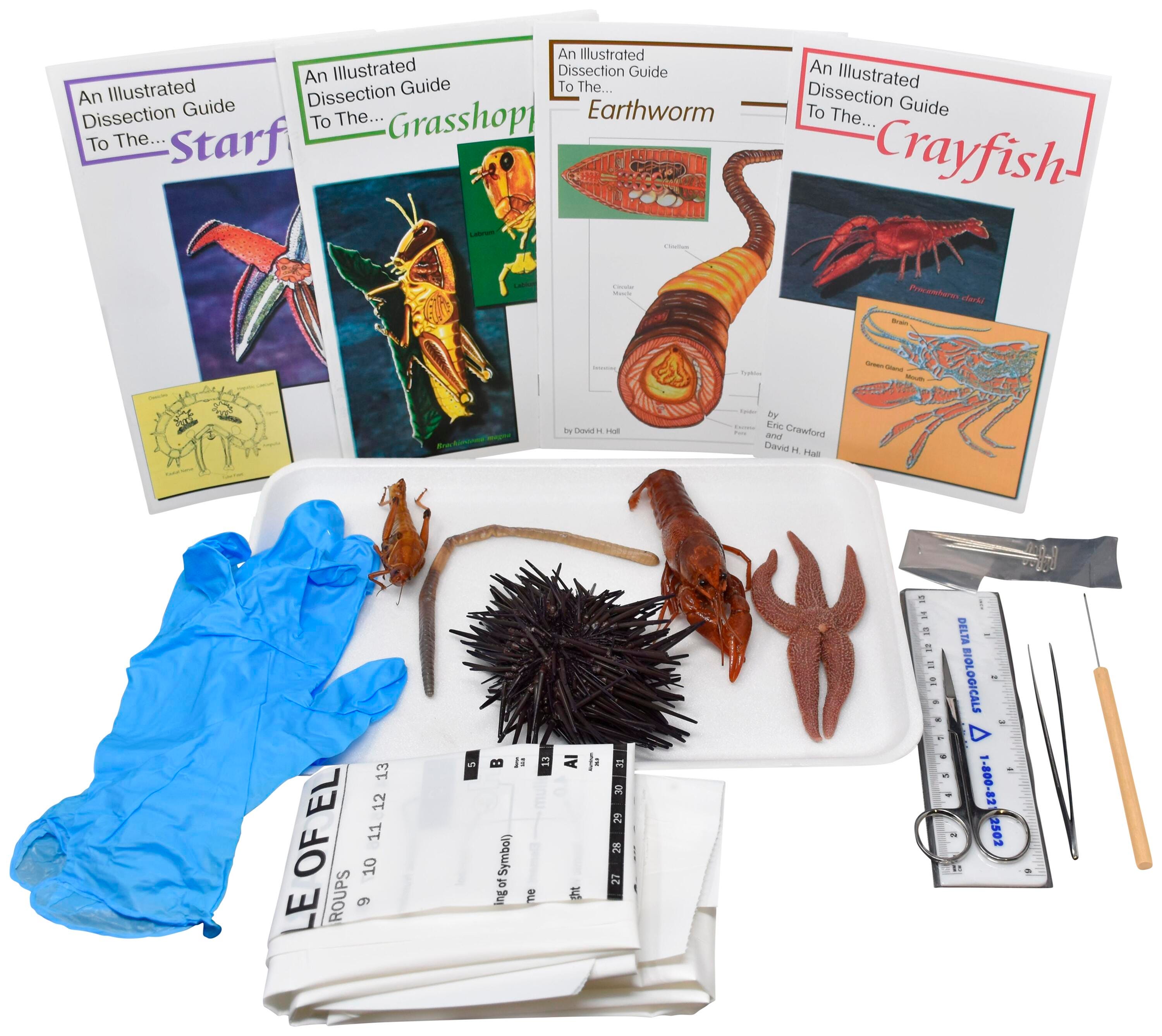 Frey Choice Dissection Ki, Basic Zoology with Dissection Tools, Item Number 2041249
