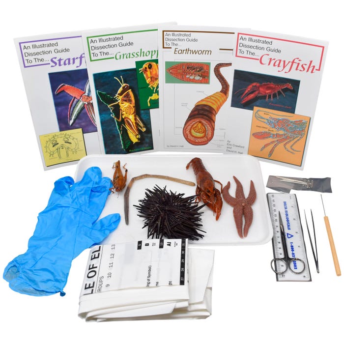 Frey Scientific Choice Basic Zoology Dissection Kit with Dissection Tools