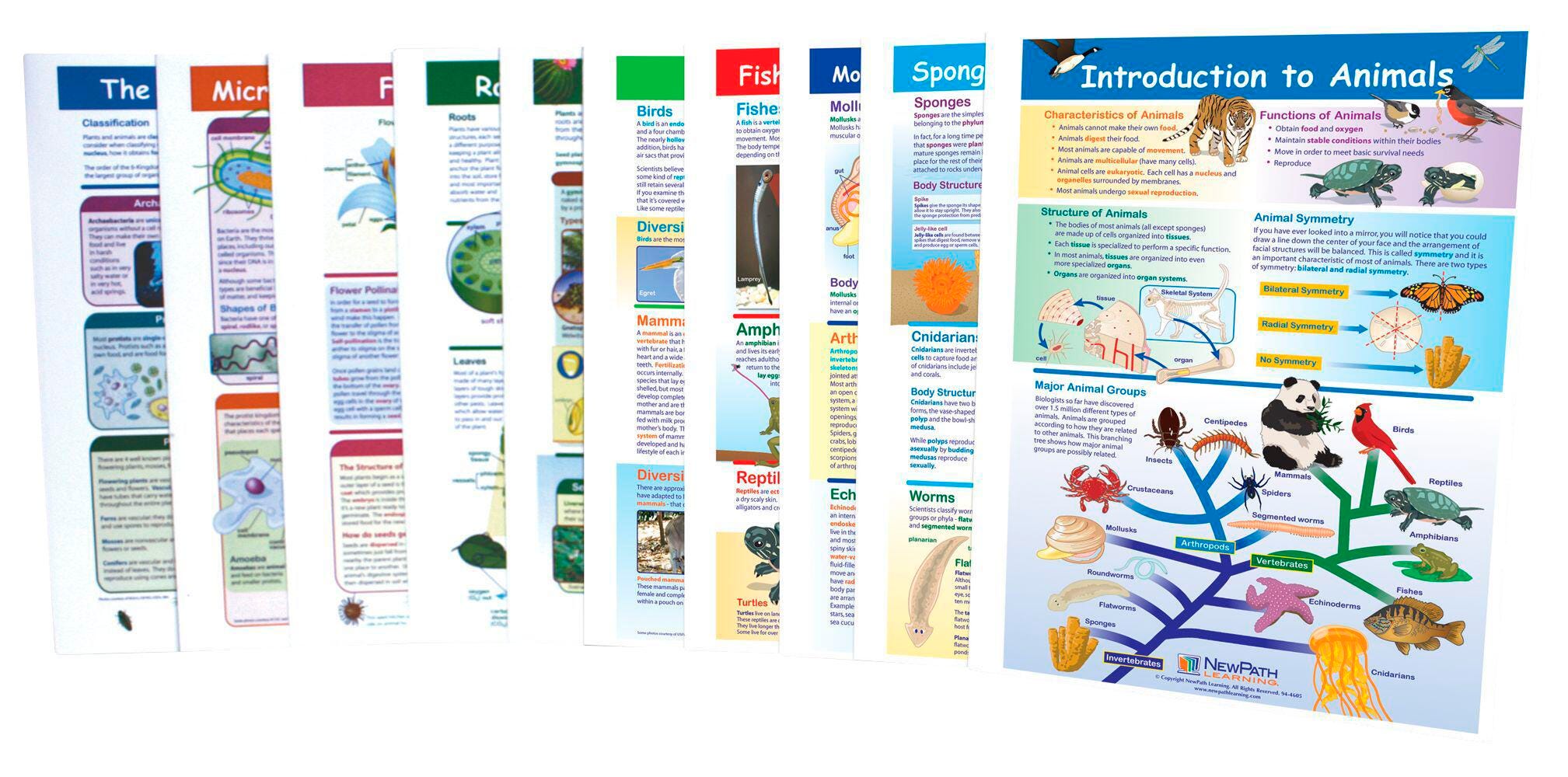 Science Supplies, Resources Supplies, Item Number 1370665