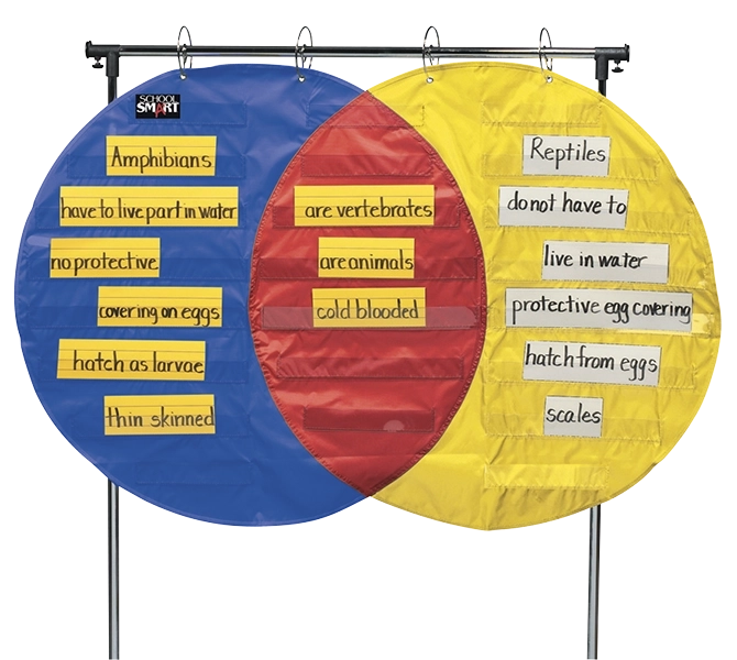 Classroom Venn Diagram