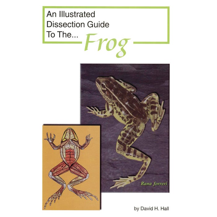 Frey Scientific Mini-Guide to Frog Dissection, Paperback, 16 Pages