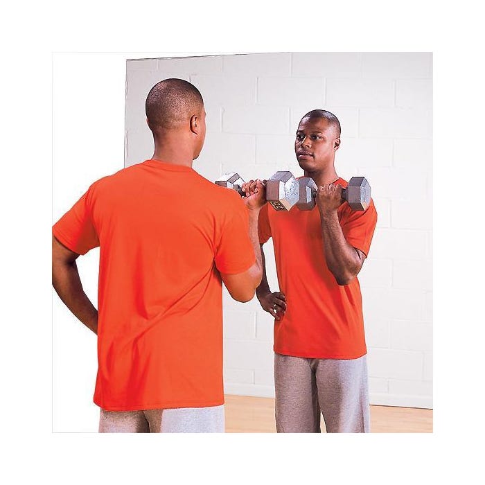 Glassless Wall Mounted Mirror, 24 x 72 Inches