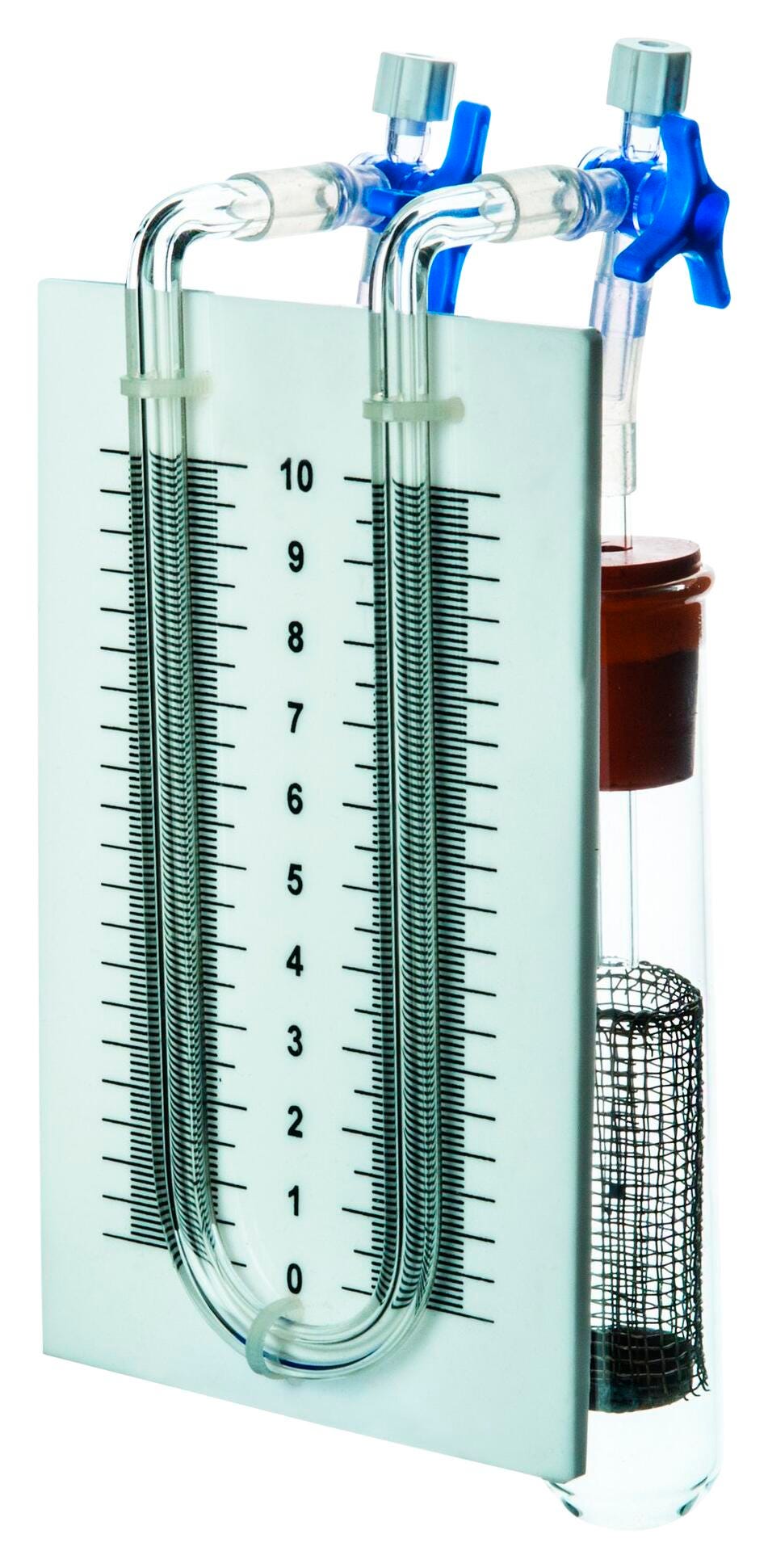 Plant Science, Item Number 2021811