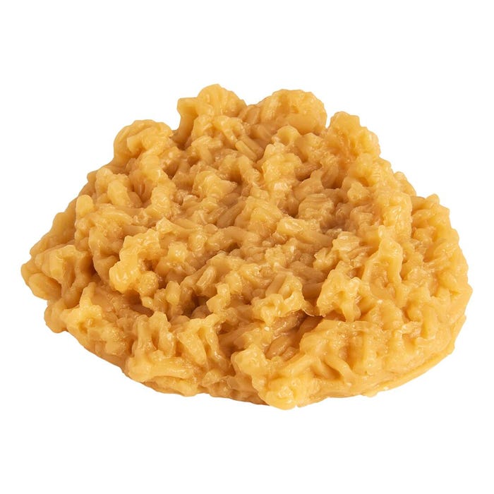 Nasco Cooked Brown Rice Food Replica, 1/2 Cup