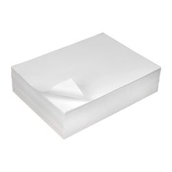 Nasco White Mixed Media Paper, 9 x 12 Inches, 60 lbs, Pack of 500
