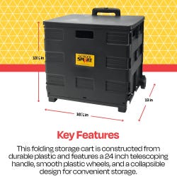 ANGLEIMAGES_FULLIMAGE