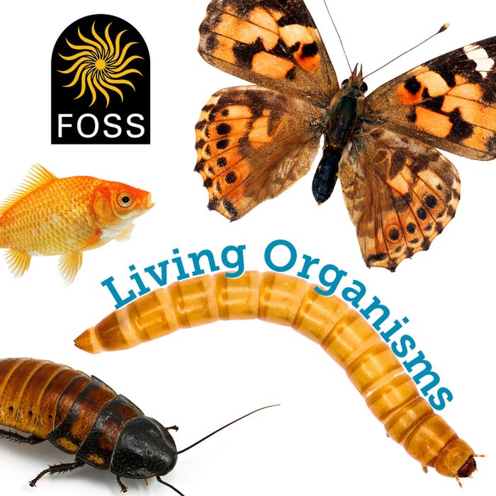 FOSS Living Materials Card Code, 5 Painted Lady Larvae