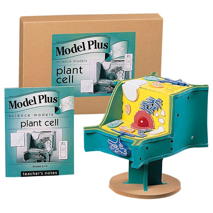 Foam The Plant Cell Model