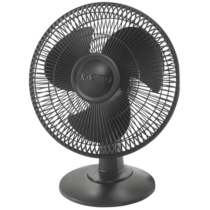 Fans