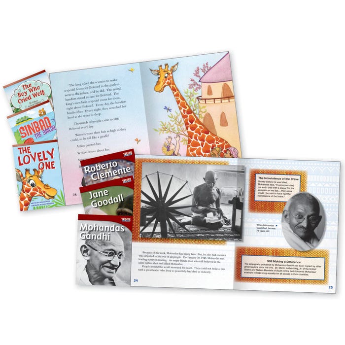 Teacher Created Materials Motivational People and Characters Fiction & Nonfiction Text Pairs, Grade 3, Set of 6