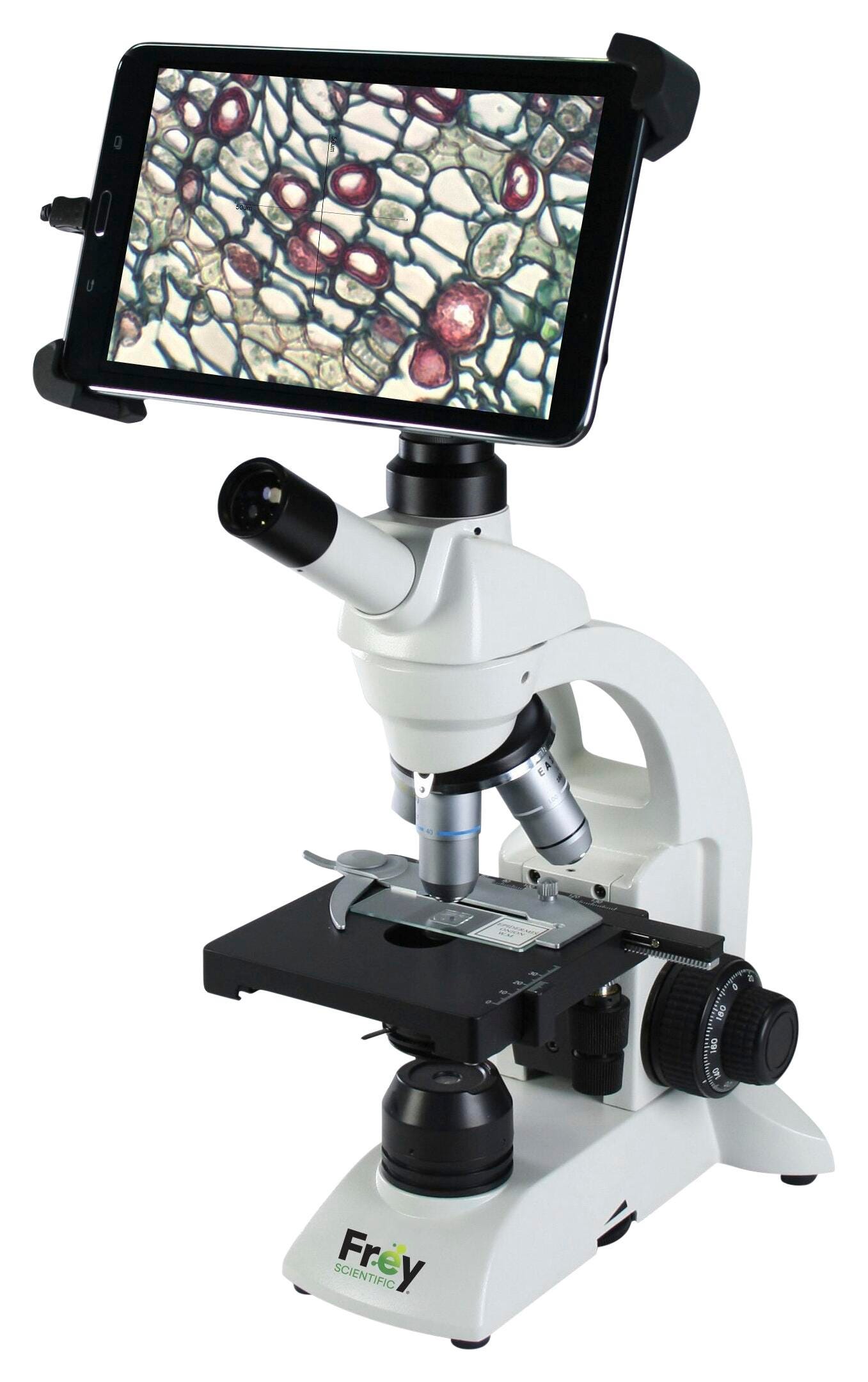 Frey Scientific Compound Microscope with 8 Inch Tablet BTI1-213-LED, Item Number 2095574