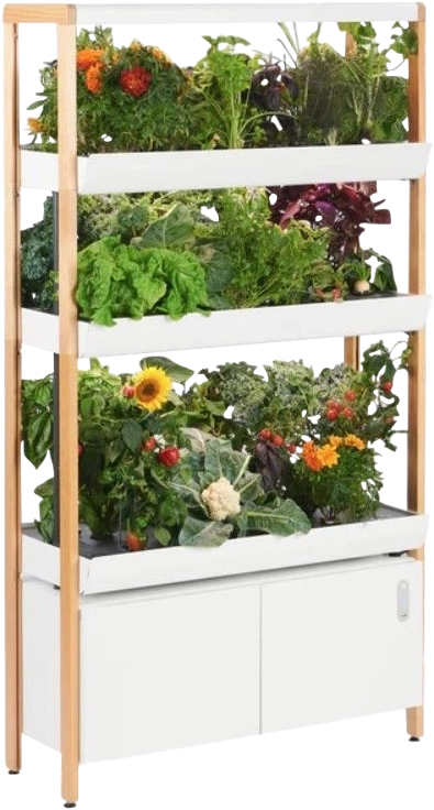 Plant Stand