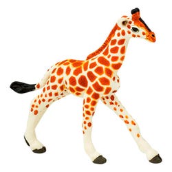 ANGLEIMAGES_FULLIMAGE