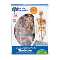 ANGLEIMAGES_FULLIMAGE