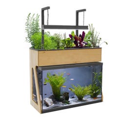 AquaSprouts 29 Gallon Garden