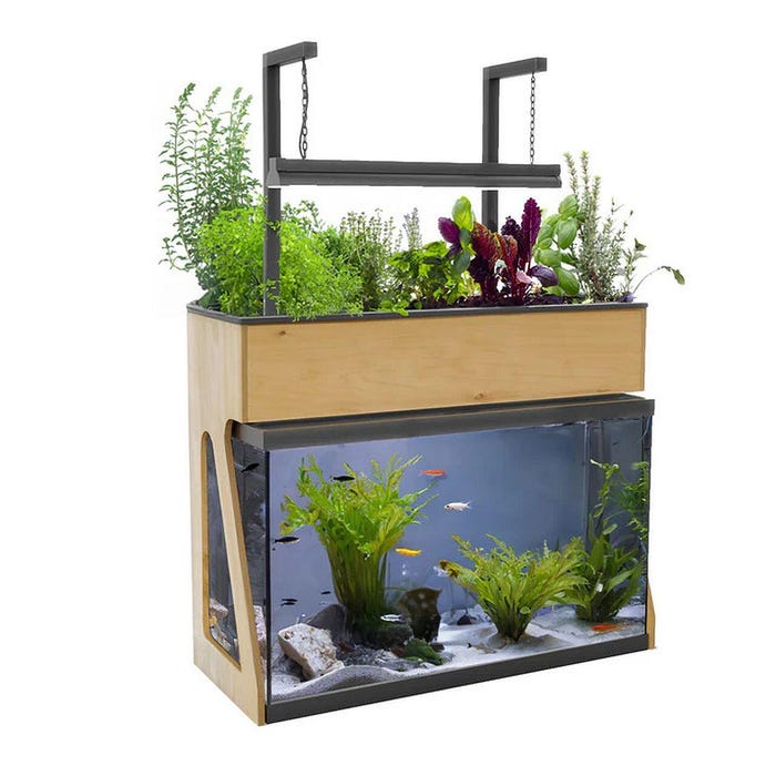 AquaSprouts 29 Gallon Garden