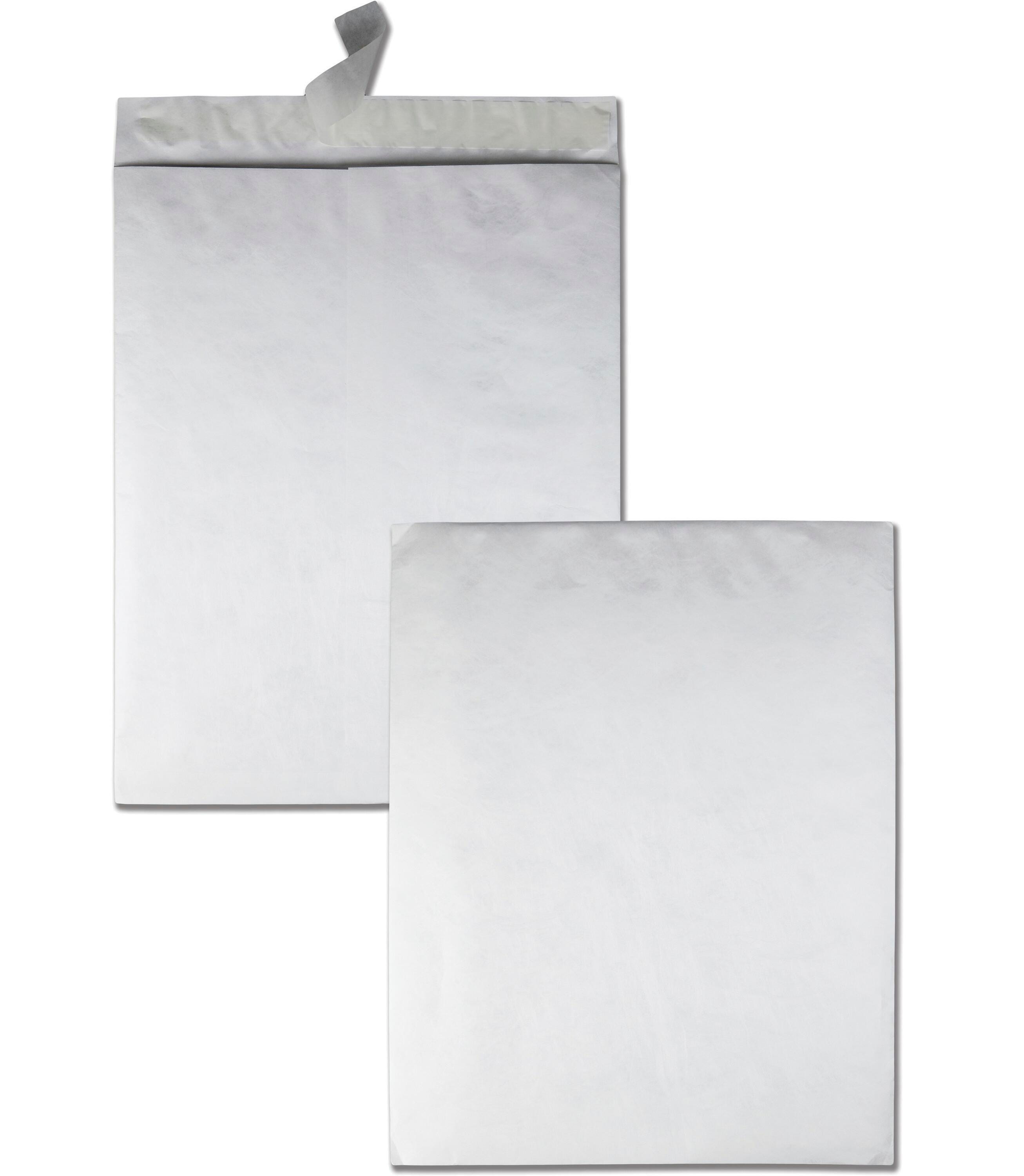 Quality Park Tyvek Jumbo Envelopes, 18 x 23 Inches, White, Box of 25, 2131224