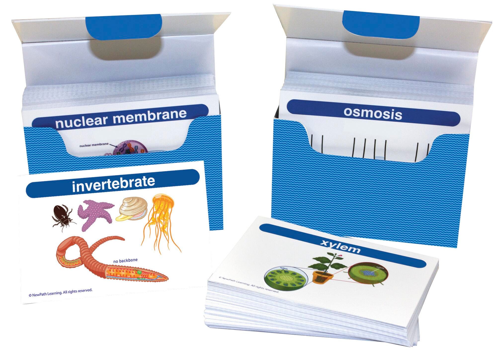 Vocabulary, Comprehension, Item Number 1503419