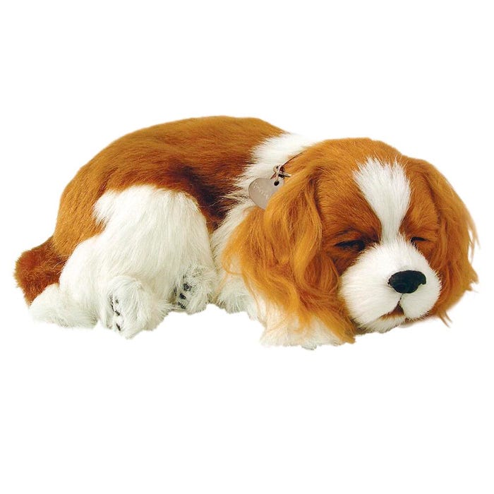 Perfect Petzzz Cavalier King Charles Spaniel