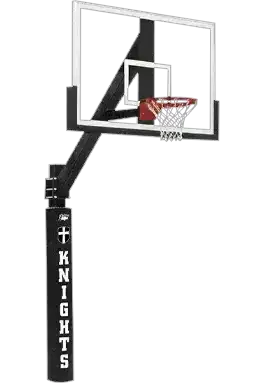 Bison basketball hoop