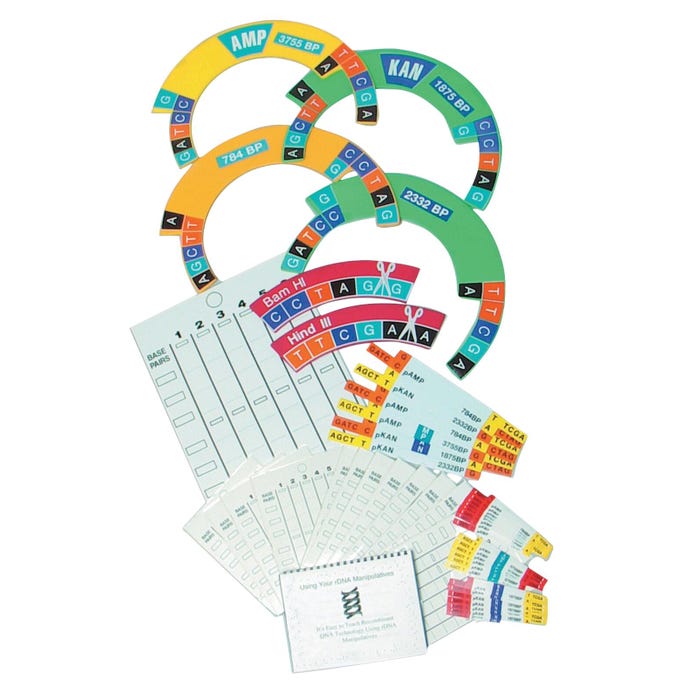 United Scientific DNA Manipulative Kit