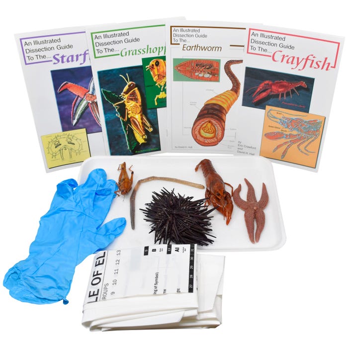 Frey Scientific Choice Basic Zoology Dissection Kit without Dissection Tools