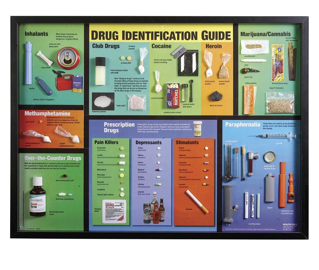 Image for Large Drug Identification Display and Case - 32 in. x 24 in. from School Specialty