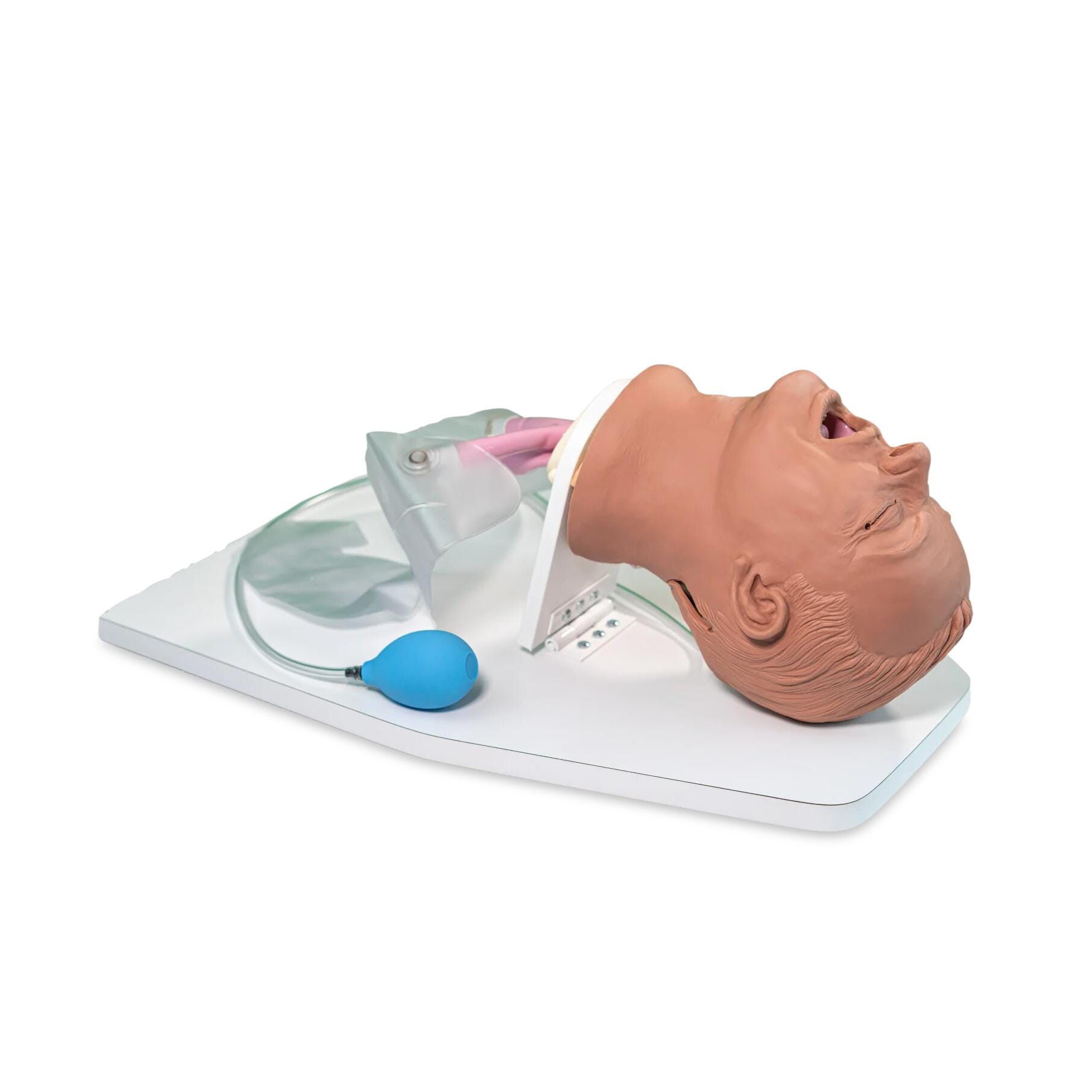Airway Larry Airway Management Trainer with Stand - Medium 
