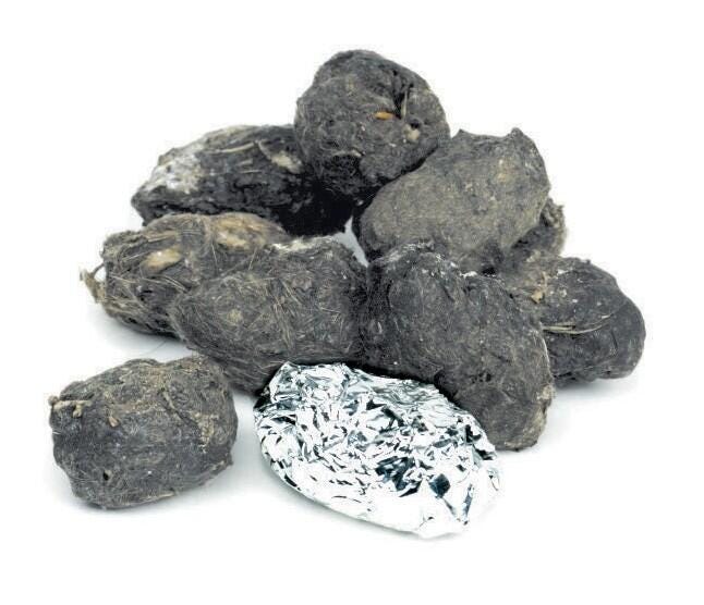 Image for Pellets Inc Barn Owl Pellets, Large 1-1/2 to 3-1/2 Inches, Pack of 15 from School Specialty