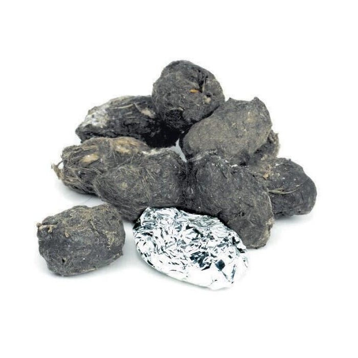 Pellets Inc Barn Owl Pellets, Large 1-1/2 to 3-1/2 Inches, Pack of 15