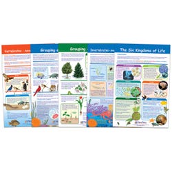 Bulletin Board Sets and Kits, Item Number 1567125
