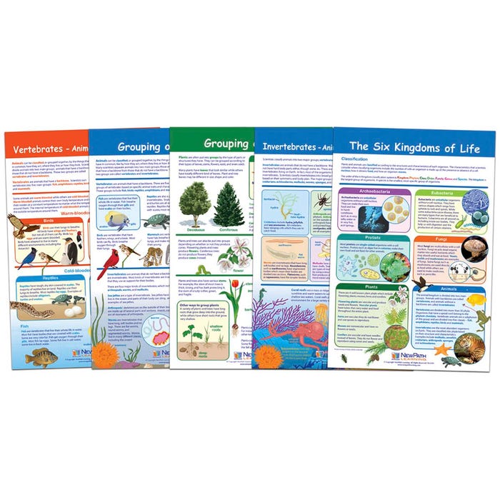 NewPath Learning Bulletin Board Set of 5, The Six Kingdoms of Life, Grades 3 to 5